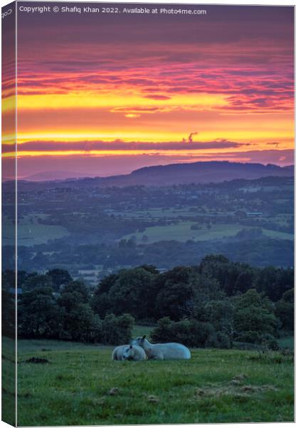 Summer Sunset at Mellor, Blackburn, Lancashire, UK Canvas Print by Shafiq Khan