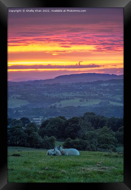 Summer Sunset at Mellor, Blackburn, Lancashire, UK Framed Print by Shafiq Khan