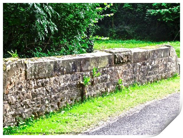 Old wall  Print by Stephanie Moore