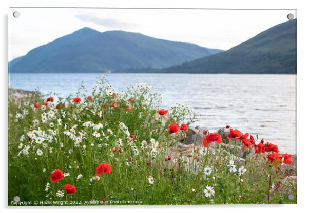 Loch Linnhe, Scotland Acrylic by Hazel Wright