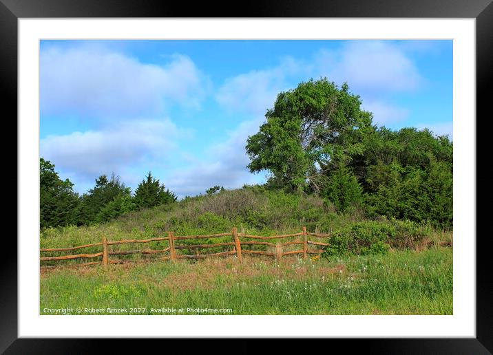 Green grass with blue sky and wooden fence Framed Mounted Print by Robert Brozek