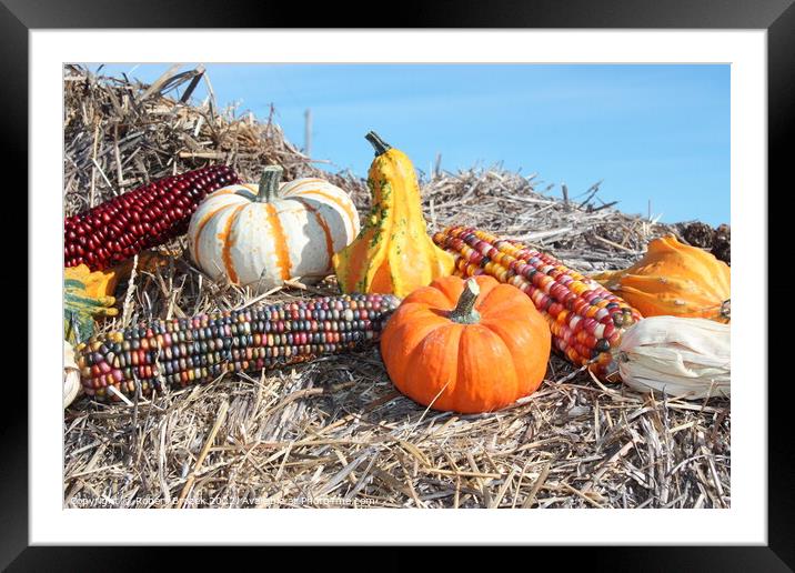 Decorative Pumpkin with corn on a hay stack Framed Mounted Print by Robert Brozek