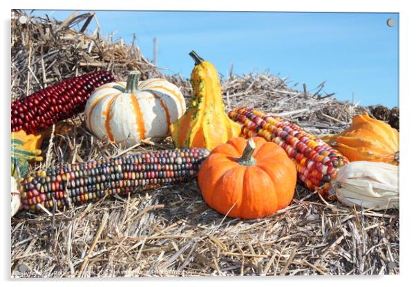 Decorative Pumpkin with corn on a hay stack Acrylic by Robert Brozek