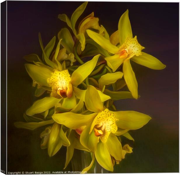 Cymbidium Orchids in a Vase Canvas Print by Stuart Bazga