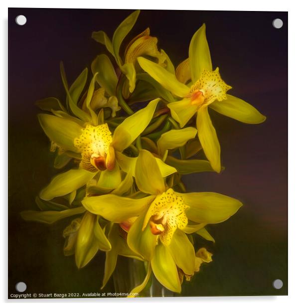 Cymbidium Orchids in a Vase Acrylic by Stuart Bazga