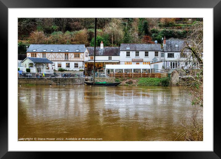 Symonds Yat and Saracens Head Framed Mounted Print by Diana Mower