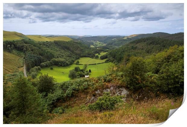 The Dyffryn Melindwr valley in Mid Wales Print by Leighton Collins