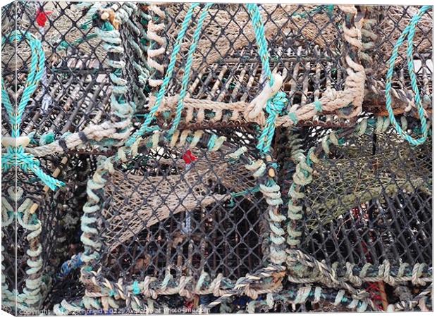 Abstract shape. Crab pots Canvas Print by Les Schofield