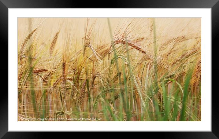 Outdoor field Framed Mounted Print by craig hopkins