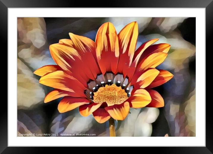 Macro flower portrait of a beautiful garden flower Framed Mounted Print by Luigi Petro