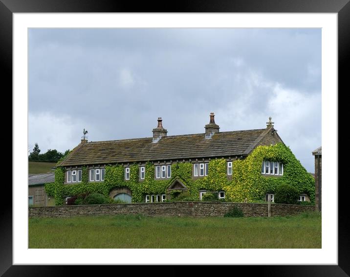 Ivy covered farmhouse Framed Mounted Print by Roy Hinchliffe