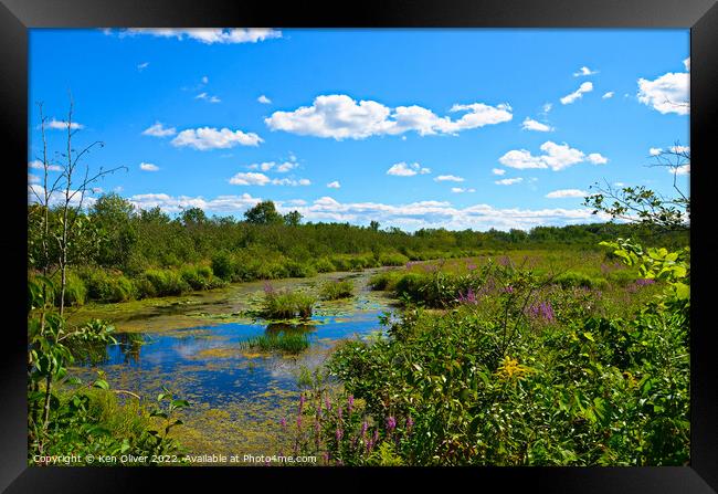 Tranquil Summer Haven Framed Print by Ken Oliver