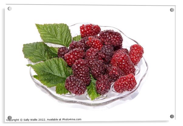 fresh tayberries on a glass plate Acrylic by Sally Wallis
