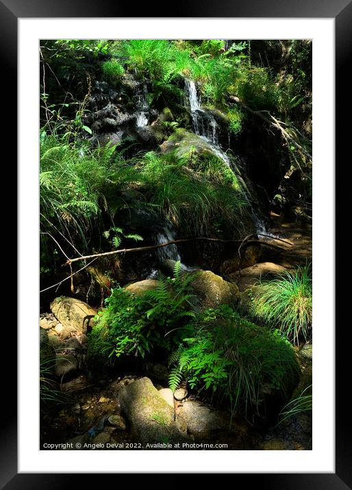 Waterfall and peaceful nature in Carvalhais Framed Mounted Print by Angelo DeVal