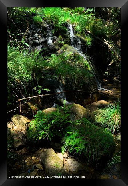 Waterfall and peaceful nature in Carvalhais Framed Print by Angelo DeVal