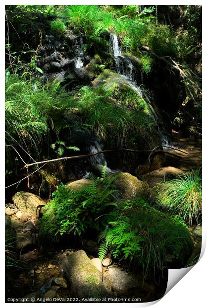 Waterfall and peaceful nature in Carvalhais Print by Angelo DeVal