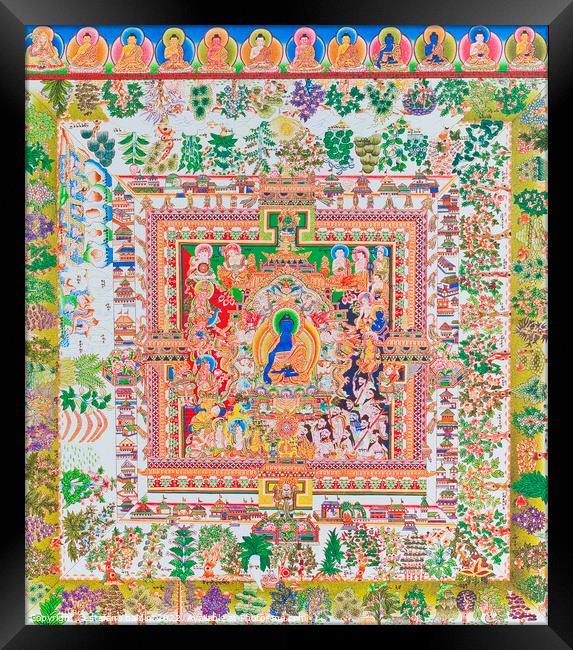 Medicine Buddha Mandala, the centre figure of Bhaisajyaguru repr Framed Print by stefano baldini