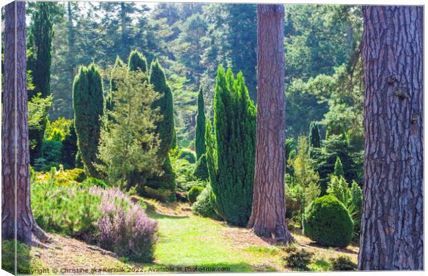 Conifers and Heather Canvas Print by Christine Kerioak