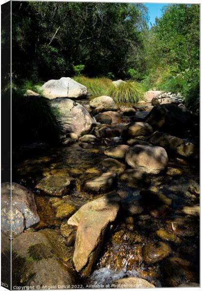 River and rocks in Carvalhais Canvas Print by Angelo DeVal