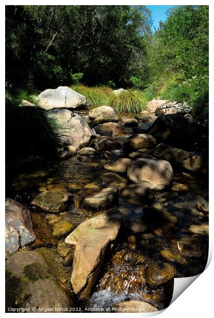 River and rocks in Carvalhais Print by Angelo DeVal