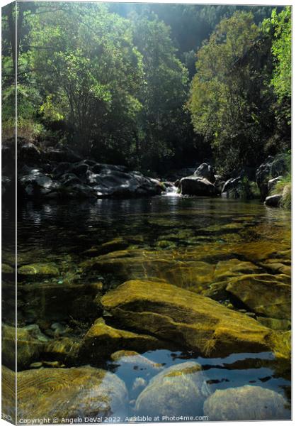 Rio da Gralheira and rocks Canvas Print by Angelo DeVal