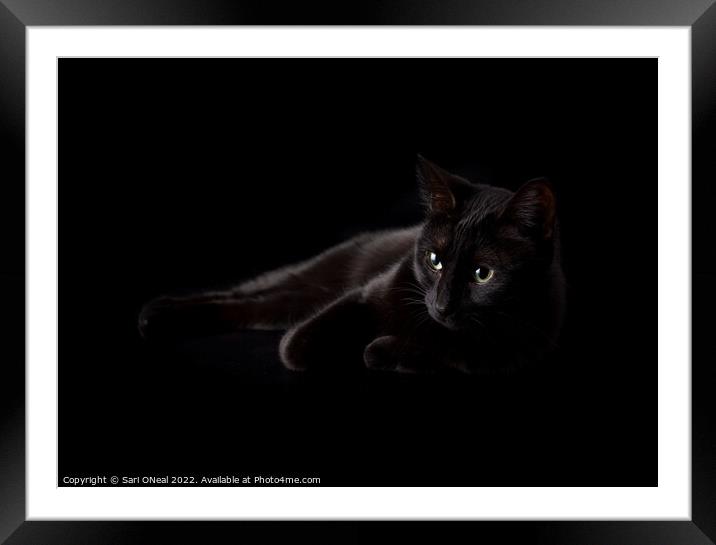 Hiding in shadows Framed Mounted Print by Sari ONeal