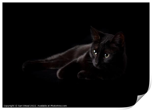 Hiding in shadows Print by Sari ONeal