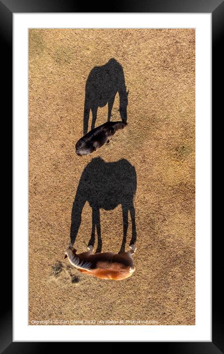 Horses and shadows Framed Mounted Print by Sari ONeal