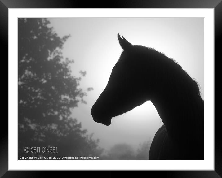 Arabian horse silhouette Framed Mounted Print by Sari ONeal