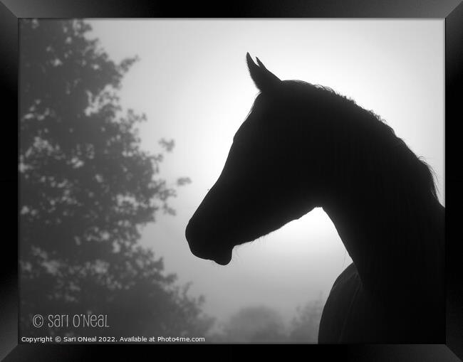 Arabian horse silhouette Framed Print by Sari ONeal