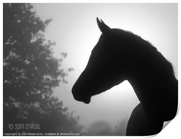 Arabian horse silhouette Print by Sari ONeal