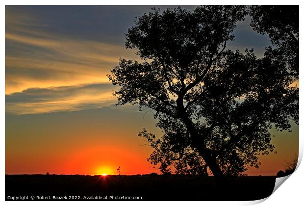 Sky with Sunset and tree Print by Robert Brozek