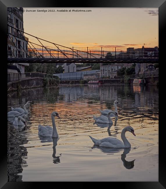 Swans at sunset along the River Avon Bath Framed Print by Duncan Savidge