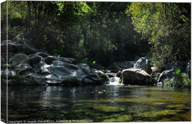 Rio da Gralheira in Carvalhais Canvas Print by Angelo DeVal