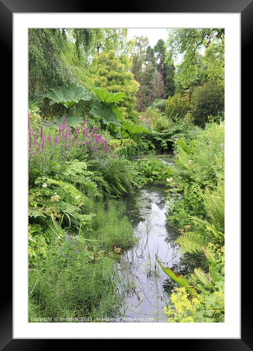Fletcher Moss Botanic Gardens, Manchester, England Framed Mounted Print by Imladris 