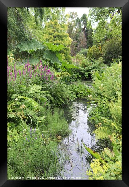Fletcher Moss Botanic Gardens, Manchester, England Framed Print by Imladris 