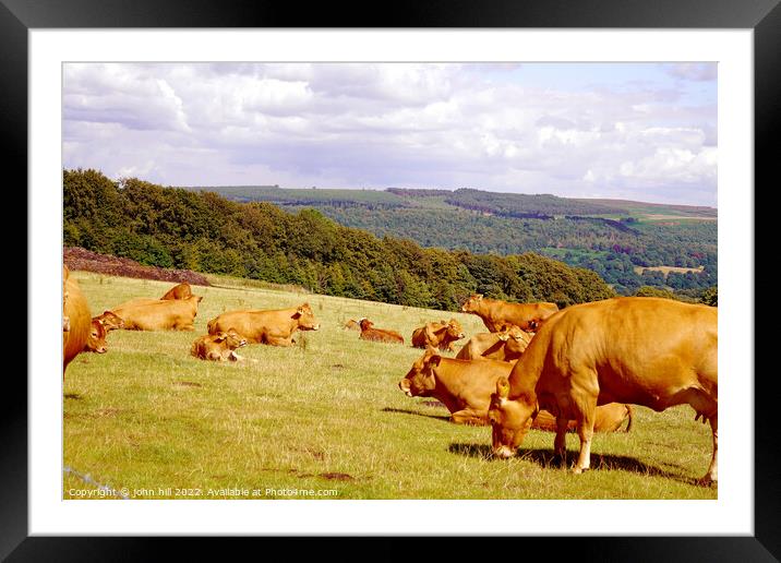 Dining with a view of Derbyshire. Framed Mounted Print by john hill