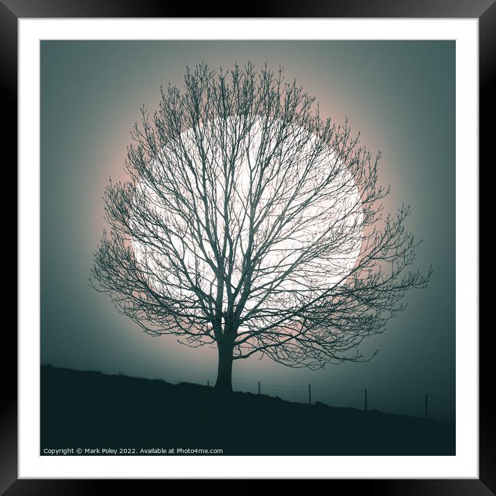 Tree silhouetted by white Orb in Talgarth Framed Mounted Print by Mark Poley