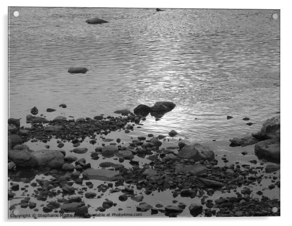 Rideau River rocks Acrylic by Stephanie Moore