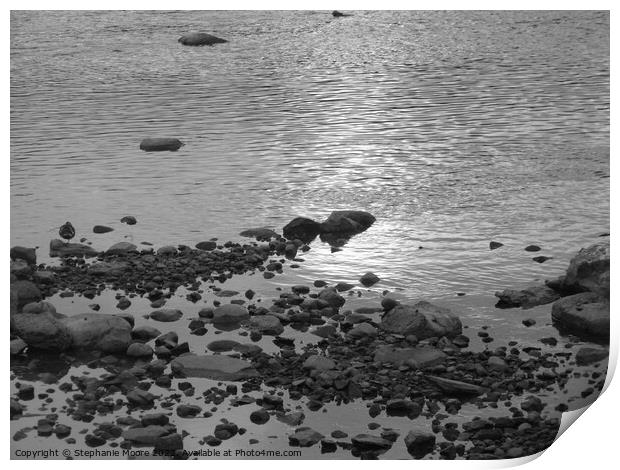 Rideau River rocks Print by Stephanie Moore