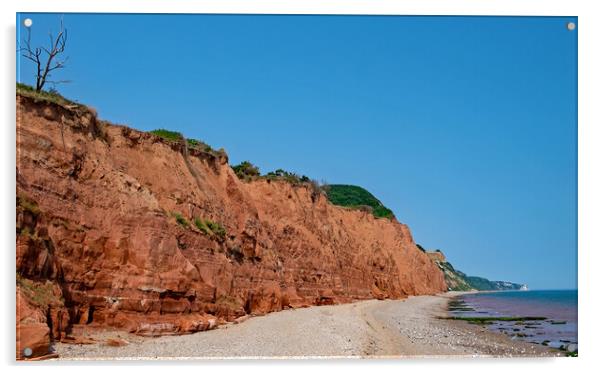 Jurassic Cliffs in July 2022 Acrylic by Joyce Storey