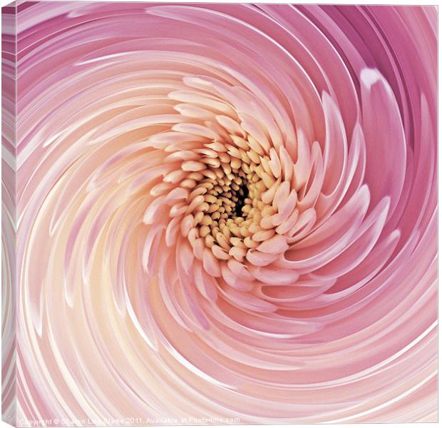 Swirl of Pink Canvas Print by Sharon Lisa Clarke