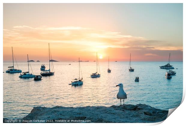 Seagull perched on a cliff watches the boats anchored in the bay Print by Joaquin Corbalan