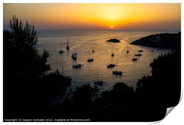  Several pleasure boats anchored in a cove on the island of Ibiz Print by Joaquin Corbalan