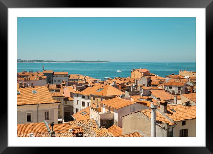 Piran old town with adriatic sea in Slovenia Framed Mounted Print by Sanga Park