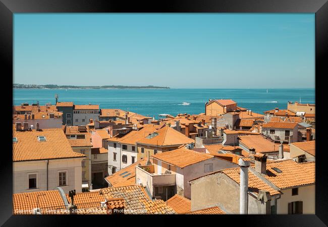 Piran old town with adriatic sea in Slovenia Framed Print by Sanga Park