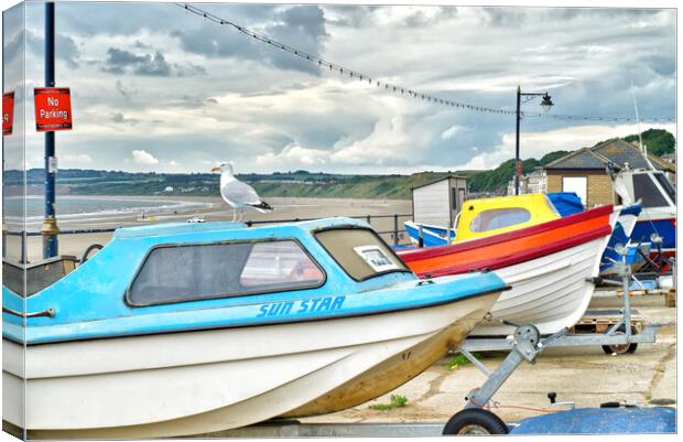 Filey No Parking For Seagulls  Canvas Print by Alison Chambers