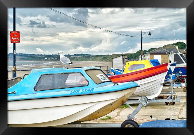 Filey No Parking For Seagulls  Framed Print by Alison Chambers