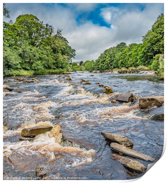 Summer on the River Tees at Demesnes Mill, Barnard Castle Print by Richard Laidler