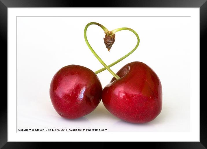 Love Cherries Framed Mounted Print by Steven Else ARPS